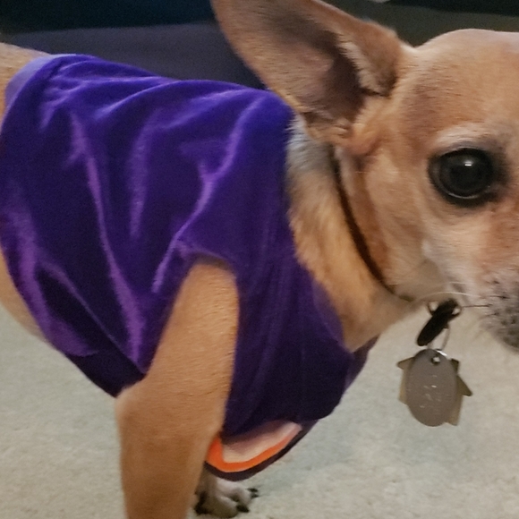 Velvet skull vest - Picture 2 of 3